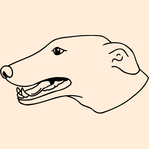 DOG077 Thumbnail
