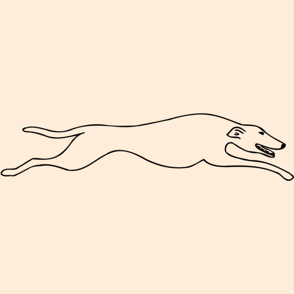 DOG078 Thumbnail