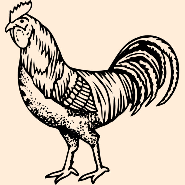 CHICK002 Thumbnail