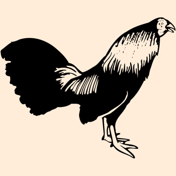 CHICK006 Thumbnail