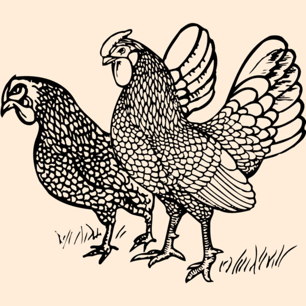 CHICK007 Thumbnail