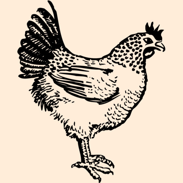 CHICK009 Thumbnail