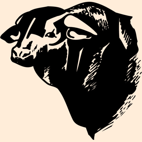 COW007 Thumbnail