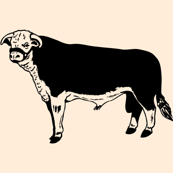 COW012 Thumbnail