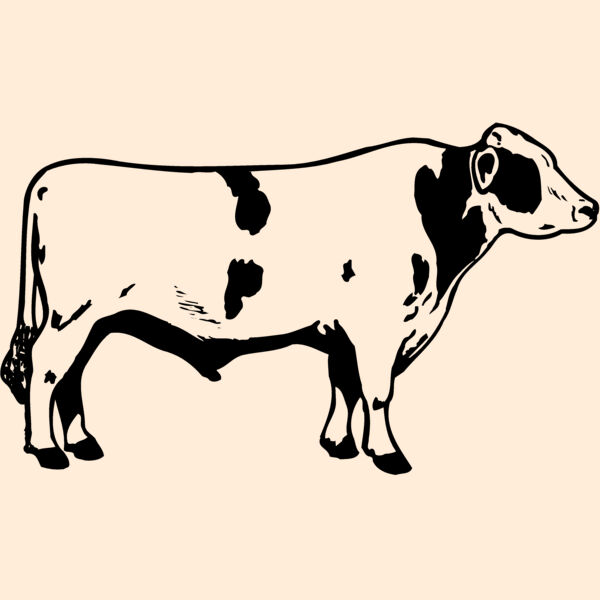 COW020 Thumbnail