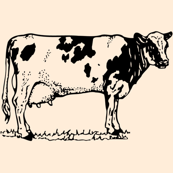 COW026 Thumbnail