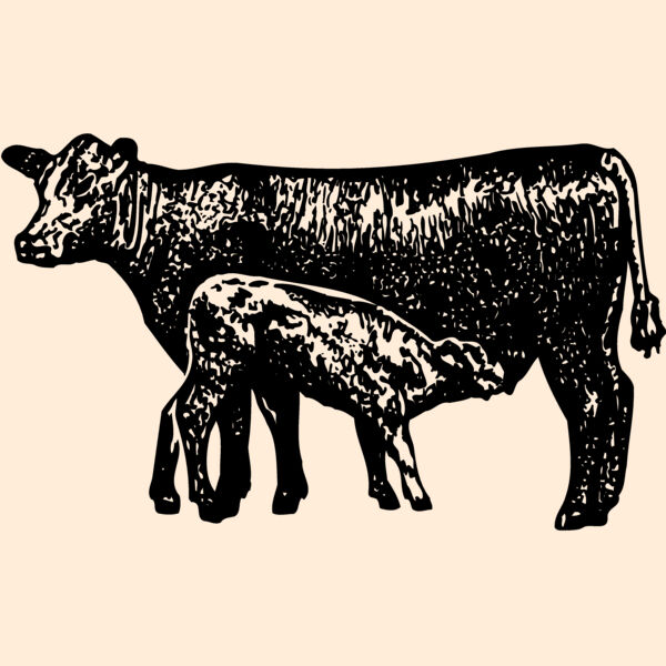 COW029 Thumbnail
