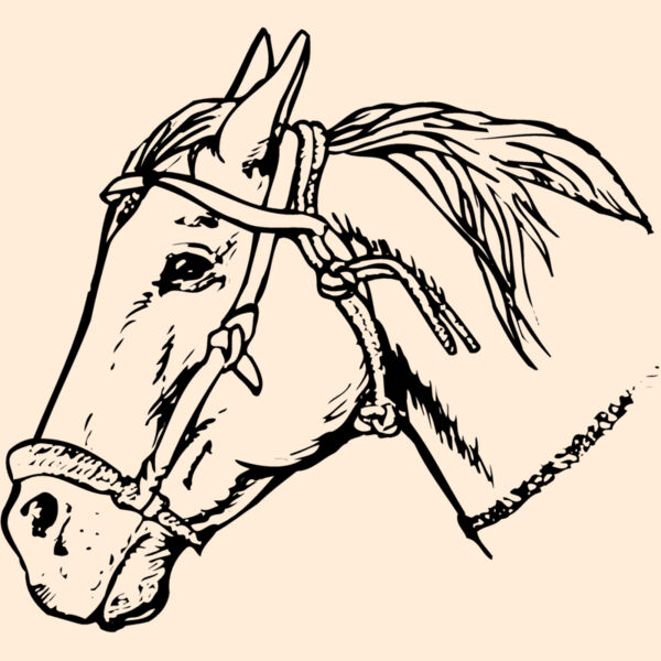 HORSE007 Thumbnail