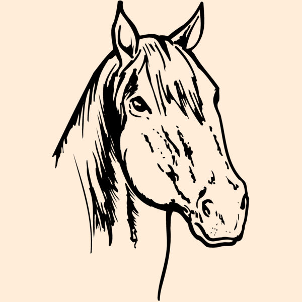 HORSE011 Thumbnail