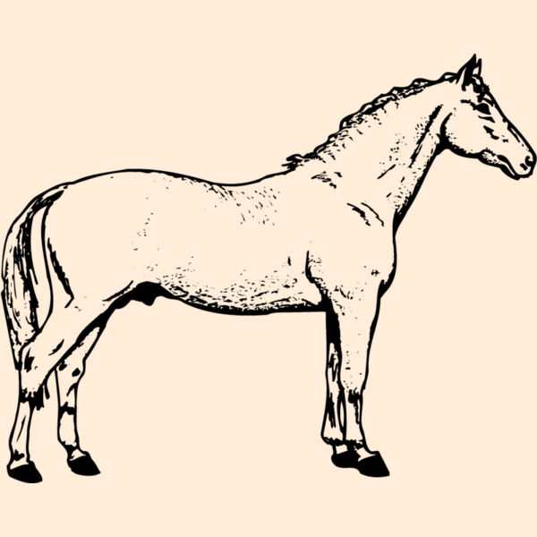 HORSE019 Thumbnail