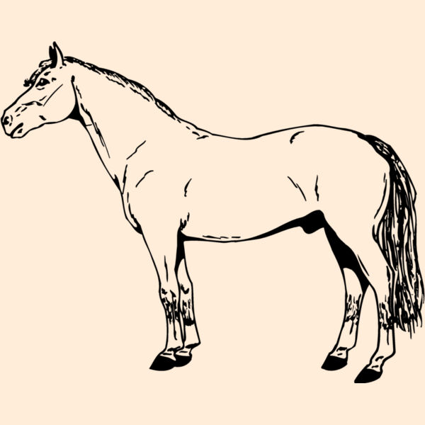 HORSE027 Thumbnail