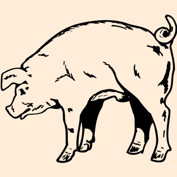 PIG0002 Thumbnail
