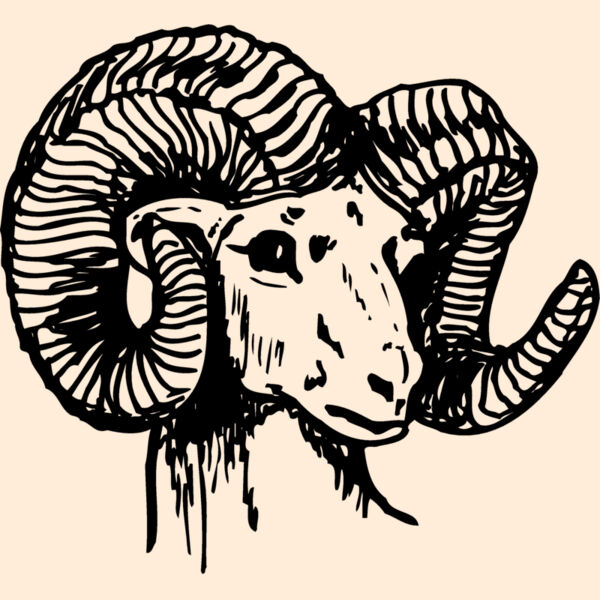 RAM003 Thumbnail