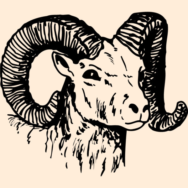 RAM010 Thumbnail