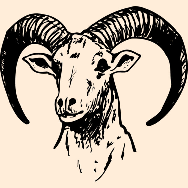 RAM012 Thumbnail