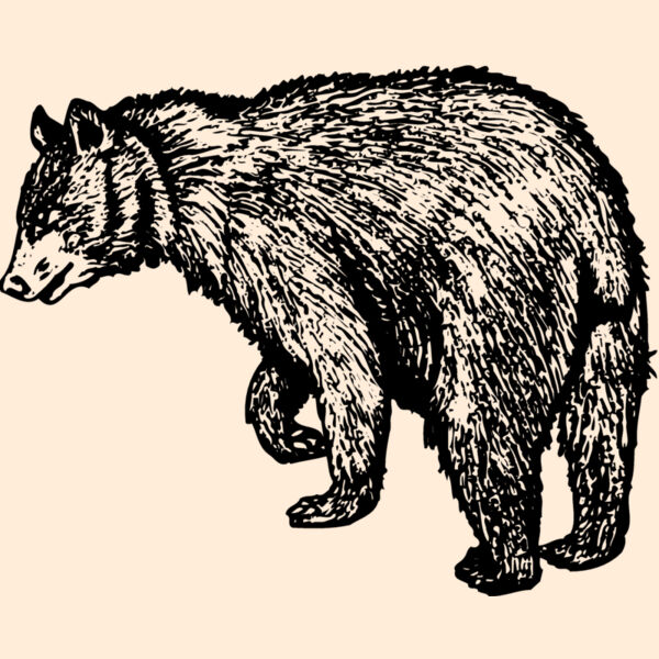 BEAR011 Thumbnail