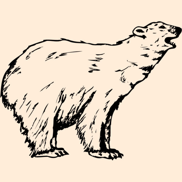 BEAR016 Thumbnail