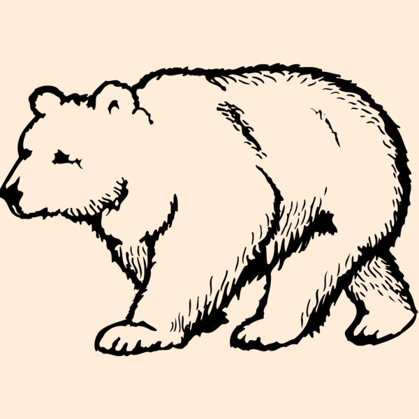 BEAR017 Thumbnail