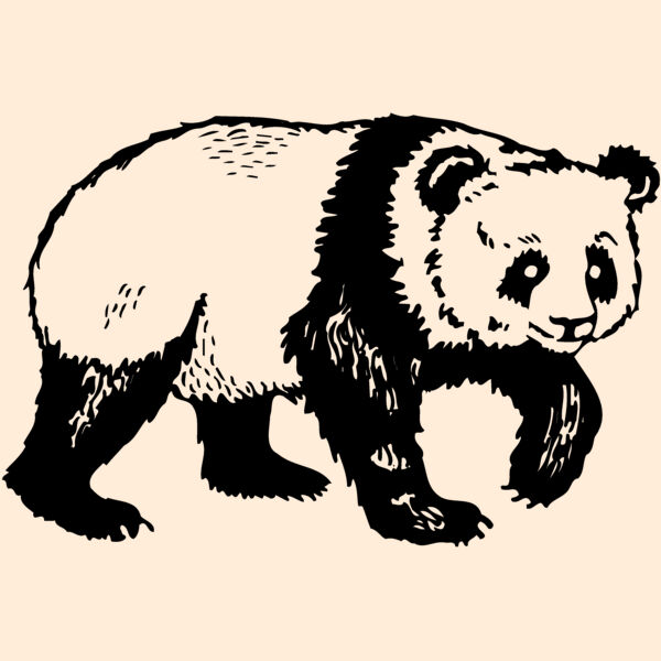 BEAR019 Thumbnail