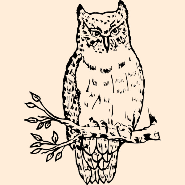 BIRD049 Thumbnail
