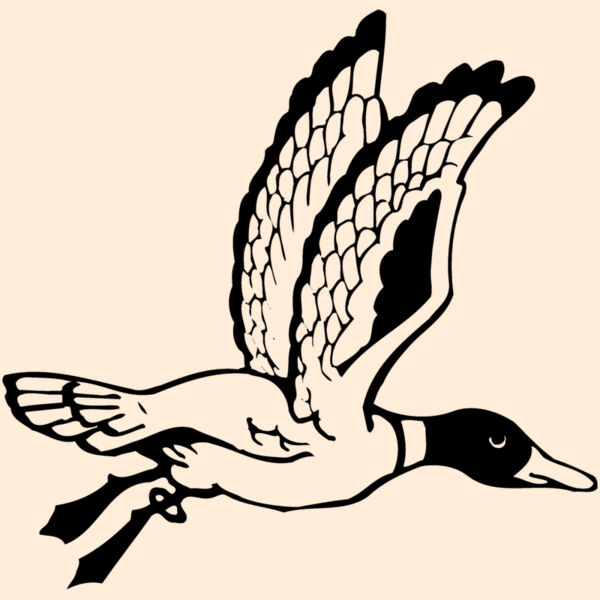 BIRD069 Thumbnail