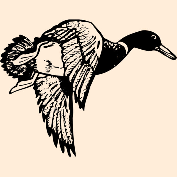 BIRD083 Thumbnail