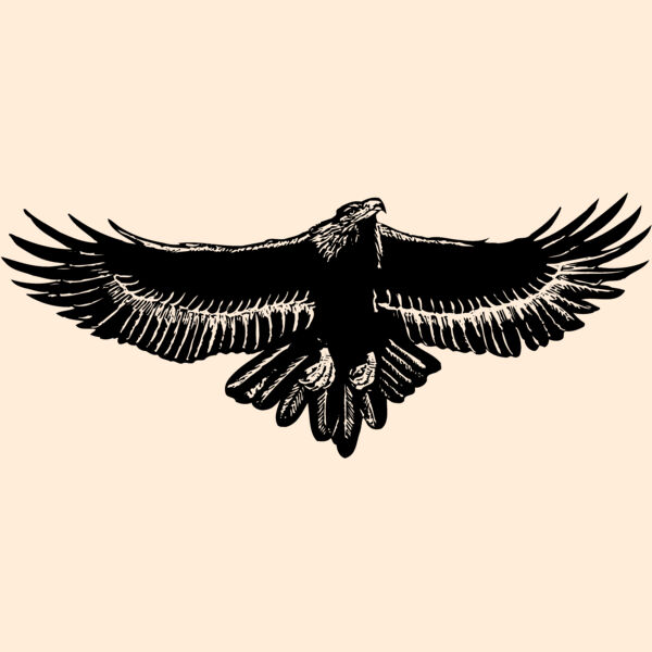 EAGLE010 Thumbnail
