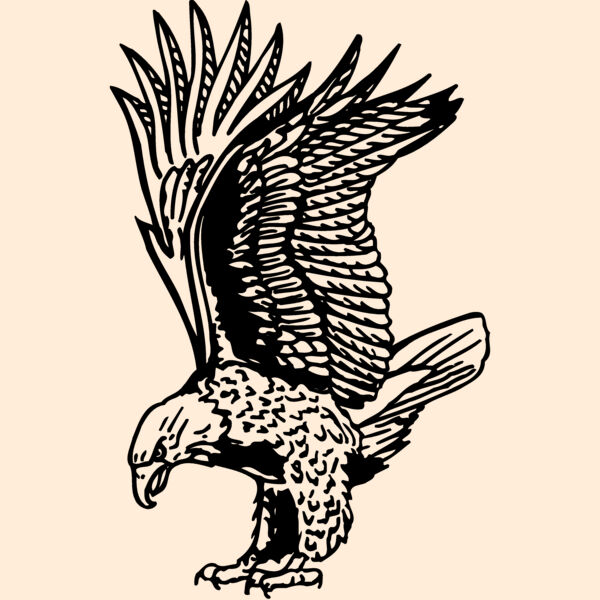 EAGLE020 Thumbnail