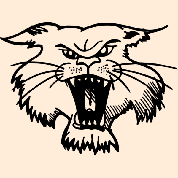 CAT01 Thumbnail