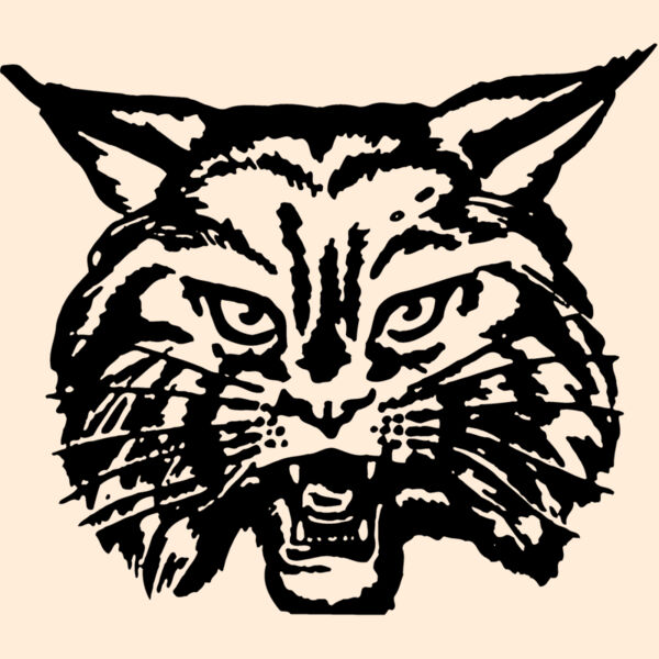 CAT03 Thumbnail