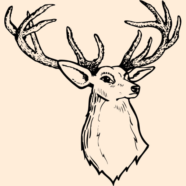 DEER008 Thumbnail