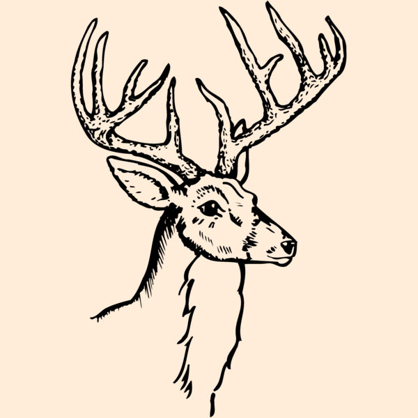DEER017 Thumbnail