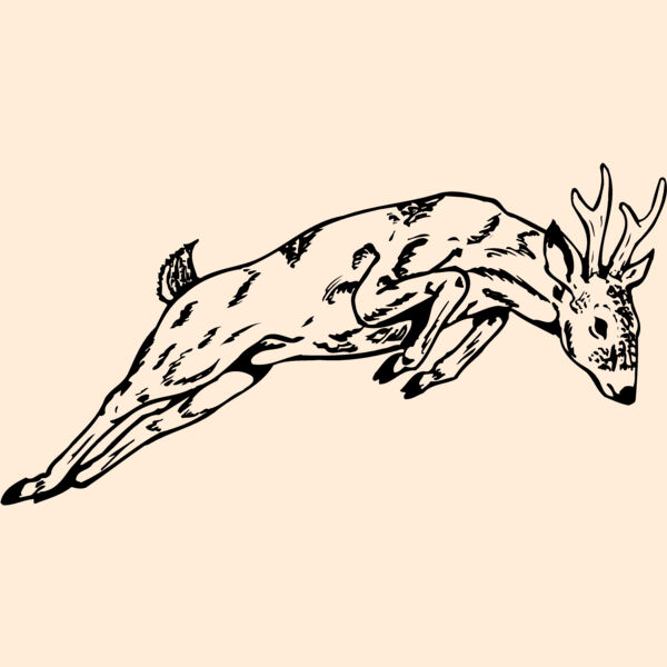 DEER020 Thumbnail