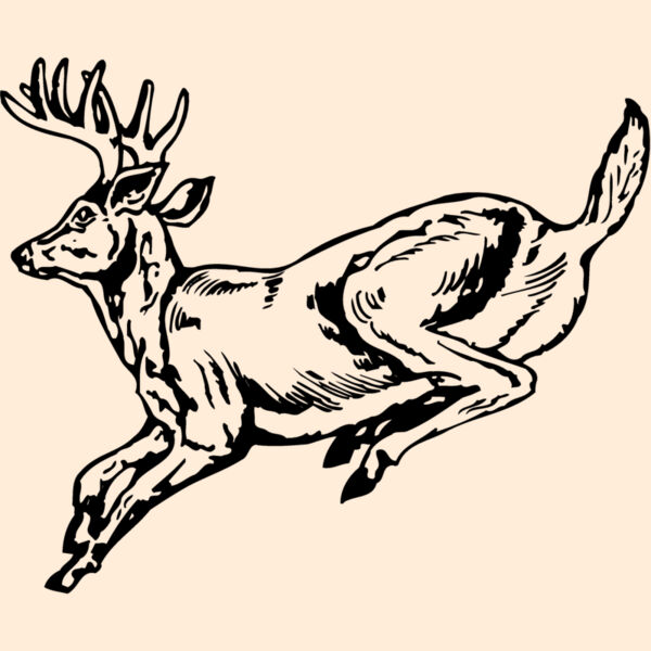 DEER027 Thumbnail