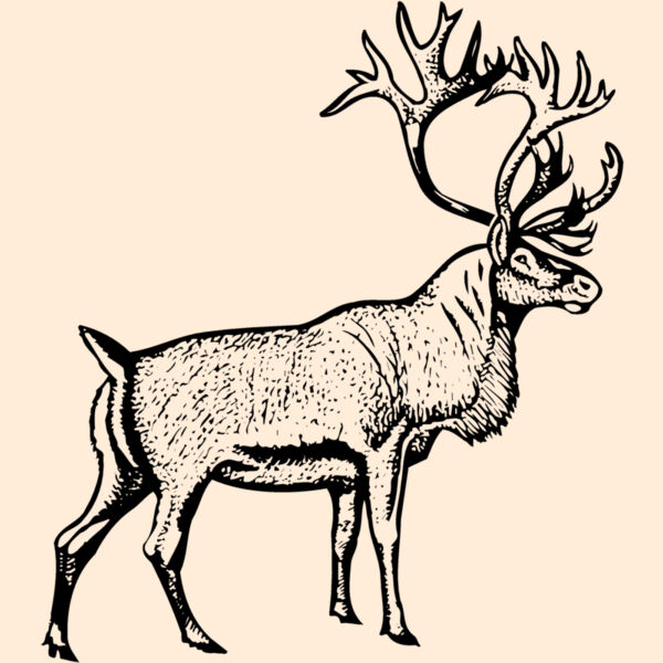DEER030 Thumbnail
