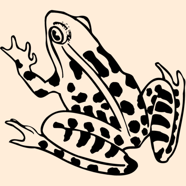 FROG01 Thumbnail