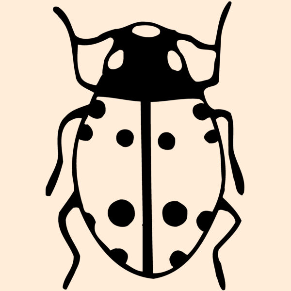BEETLE03 Thumbnail