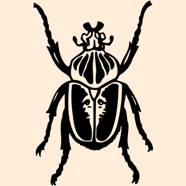 BEETLE04 Thumbnail
