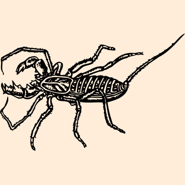SCORP02 Thumbnail
