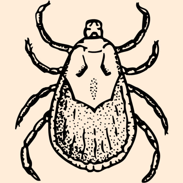 TICK Thumbnail