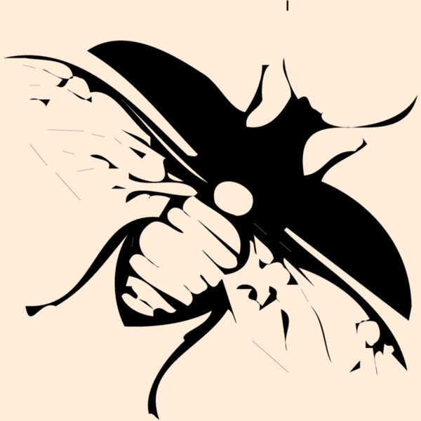 FLY03 Thumbnail
