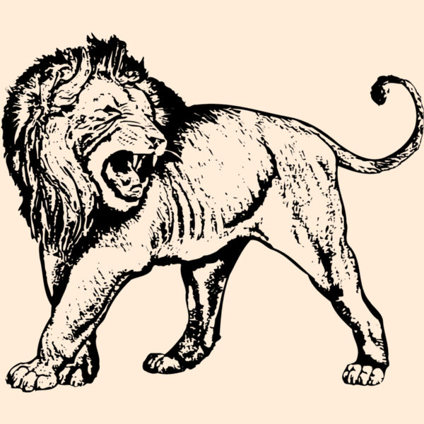 LION007 Thumbnail