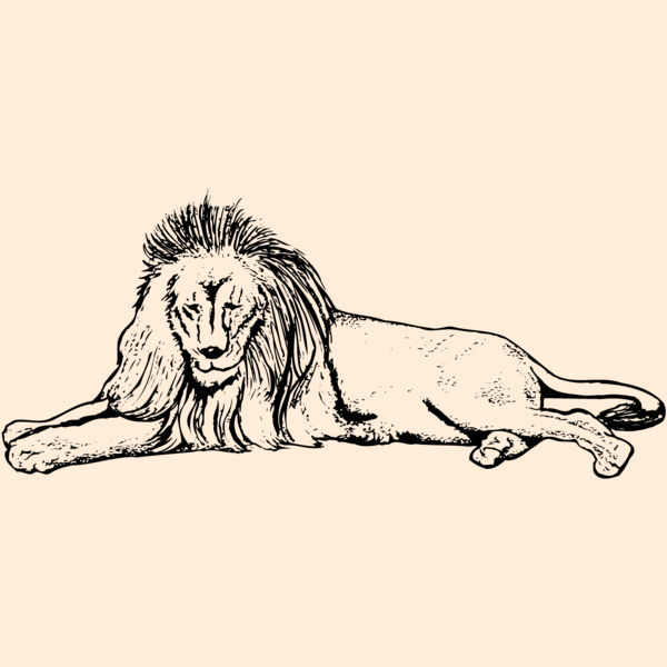 LION008 Thumbnail
