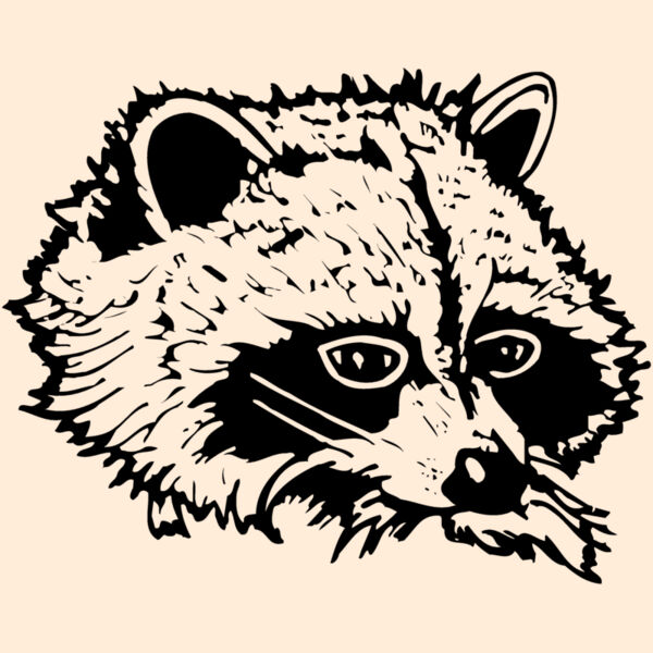 COON004 Thumbnail