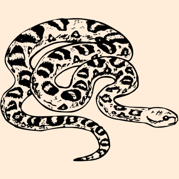 SNAKE001 Thumbnail