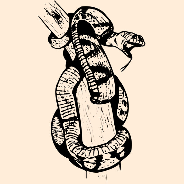 SNAKE004 Thumbnail