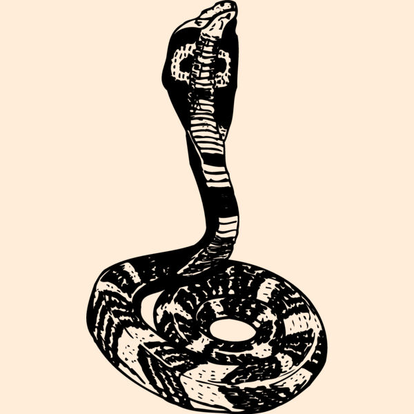 SNAKE006 Thumbnail