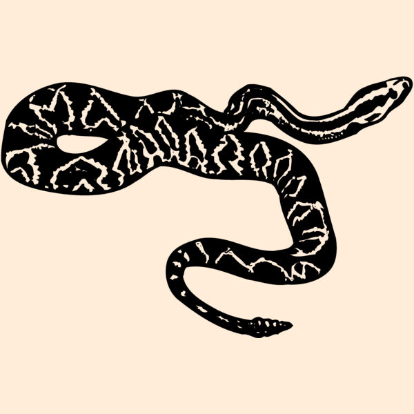 SNAKE007 Thumbnail