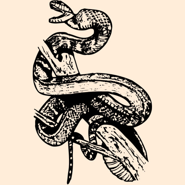 SNAKE008 Thumbnail