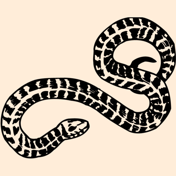 SNAKE009 Thumbnail